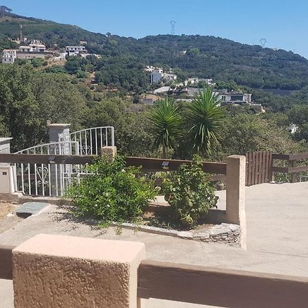 Bas de Villa chez Mr.Girolami Dominique Bastia  Extérieur photo